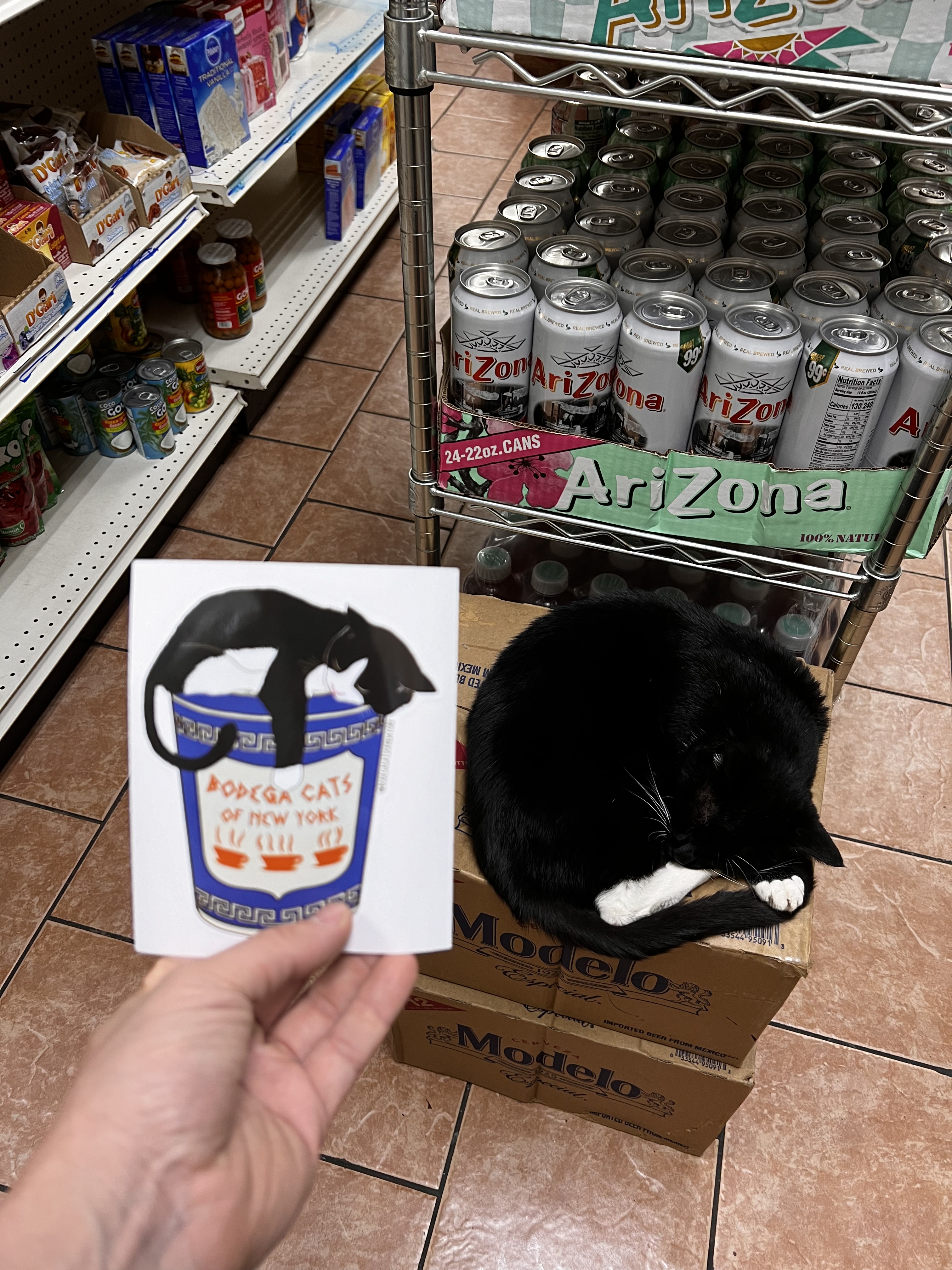 Luna at the store