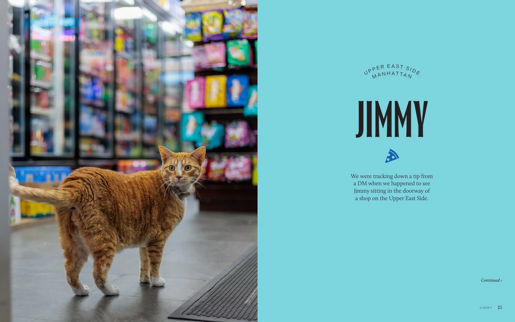 Interior spread from Bodega Cats of New York featuring Jimmy in Upper East Side, Manhattan. Photography by Gulce Kilkis.
