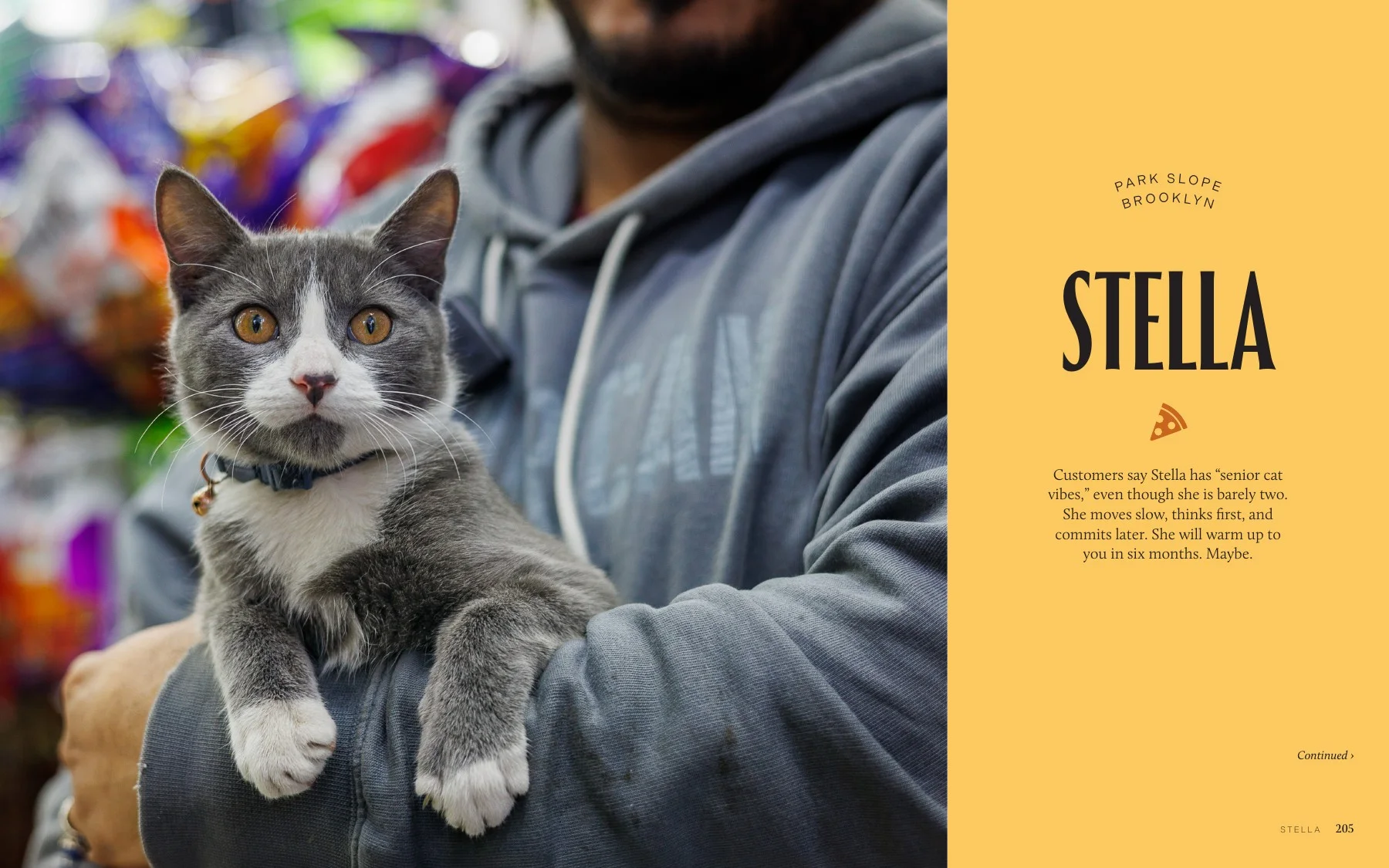Interior spread from Bodega Cats of New York featuring Stella in Park Slope, Brooklyn. Photography by Gulce Kilkis.