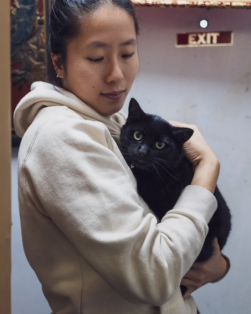 A bodega cat with the people and store around it