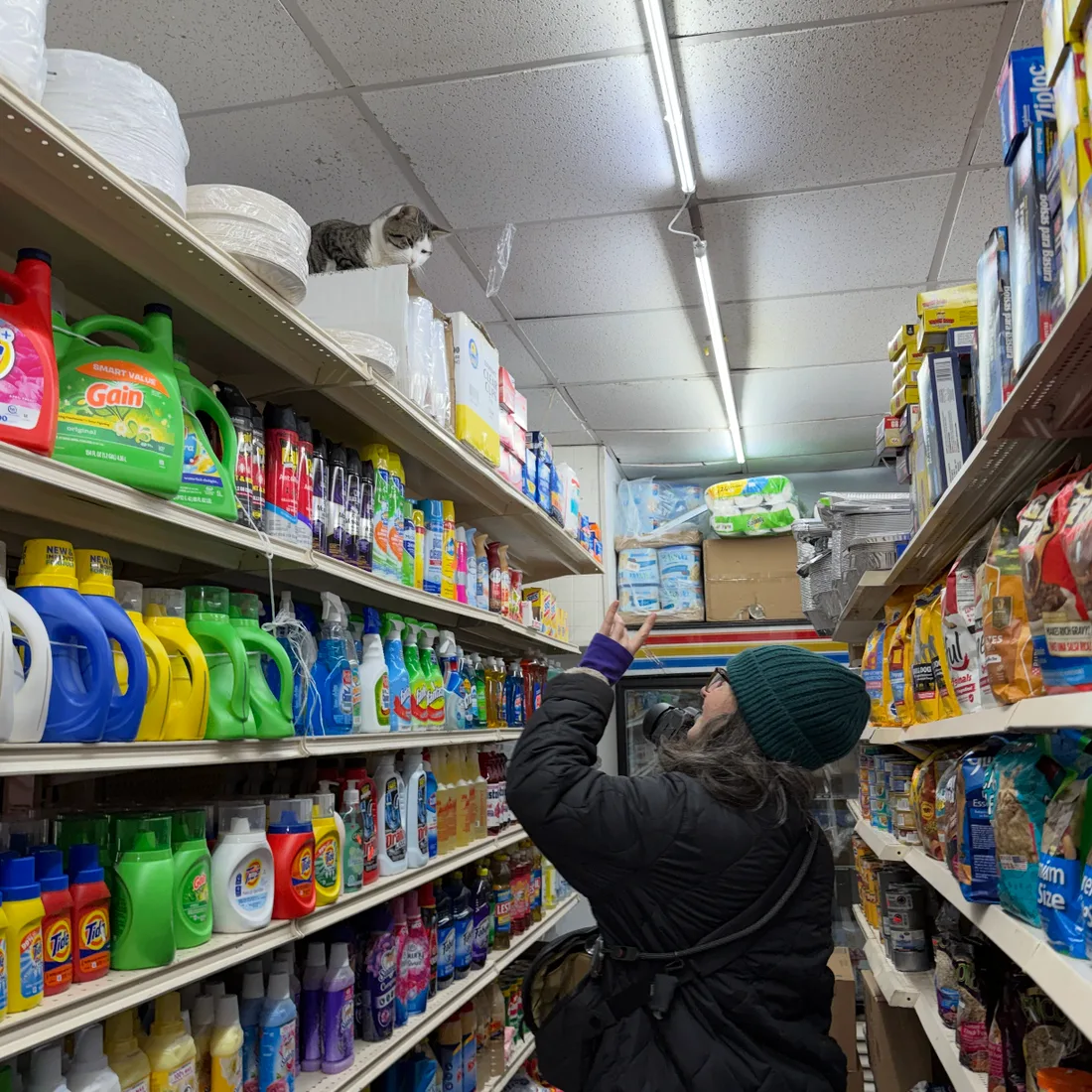 Gulce Kilkis photographing a cat inside a New York bodega
