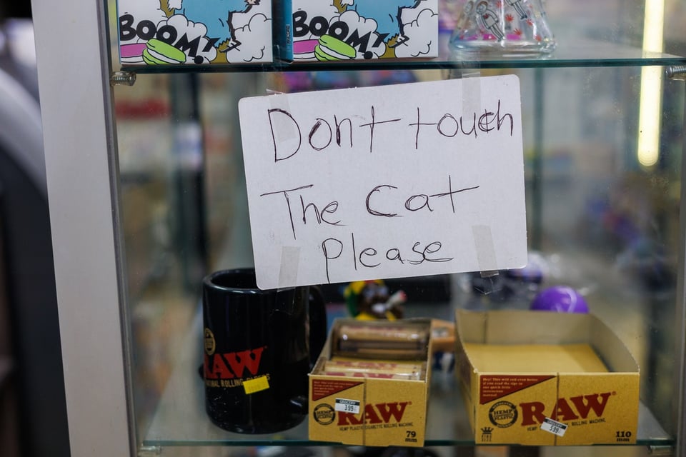 Tony the bodega cat
